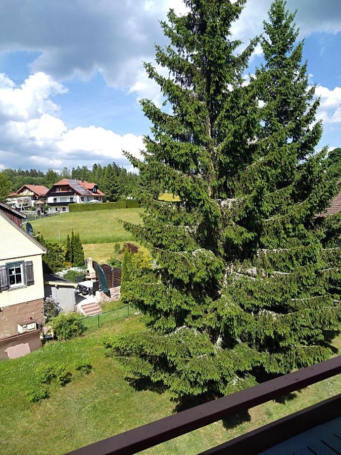 Ferienwohnung Rita Freudenstadt Dış mekan fotoğraf